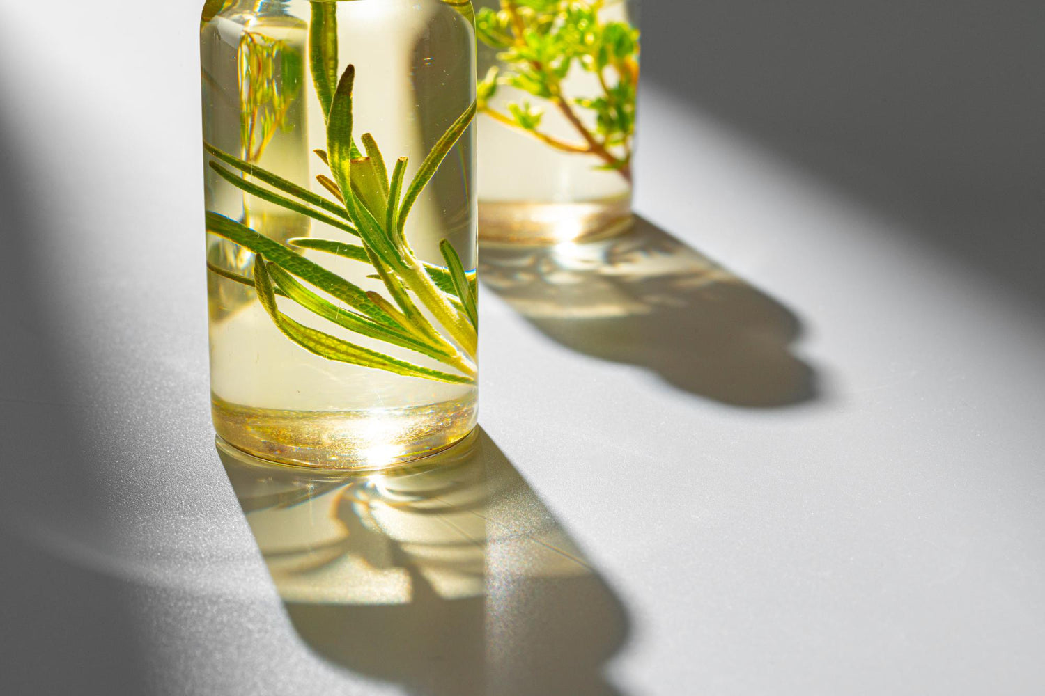 Tea tree oil diluted in MCT oil base for  seborrheic dermatitis — Epicderma Face and Scalp Elixir