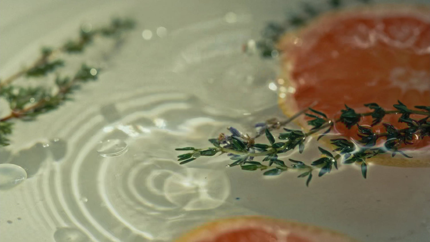The Power of Tea Tree and Thyme Oils