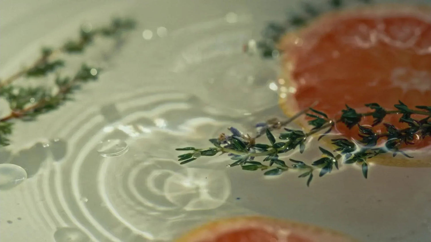 The Power of Tea Tree and Thyme Oils - Epicderma