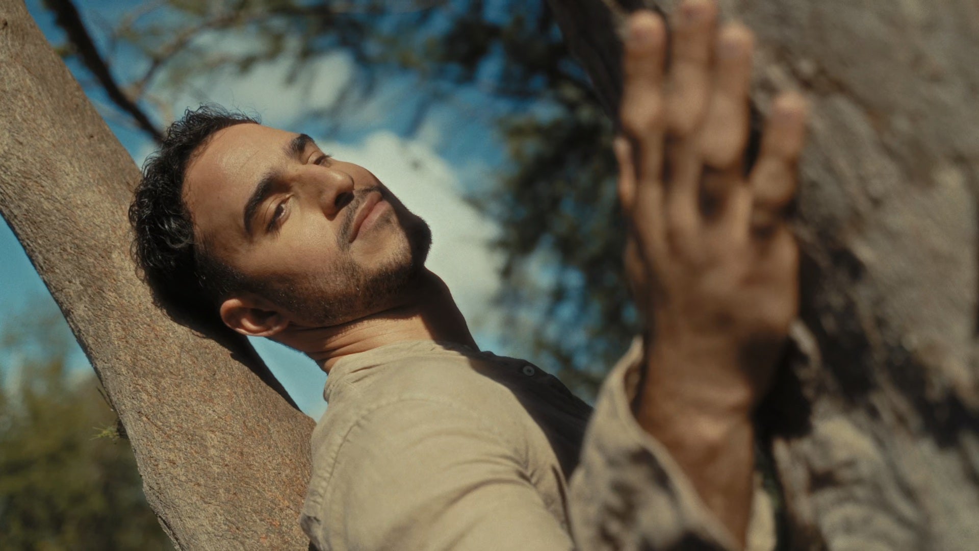 A thoughtful man up a tree
