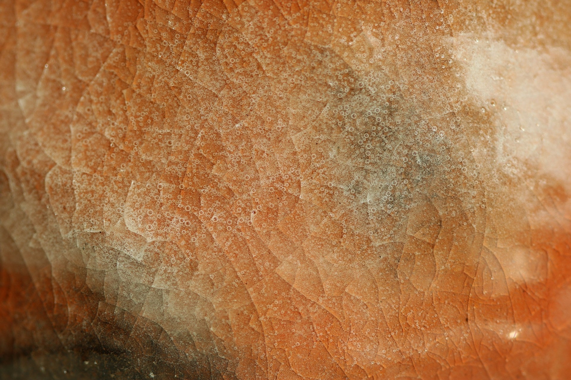 How to Calm the Itch and Inflammation of the Skin Immediately