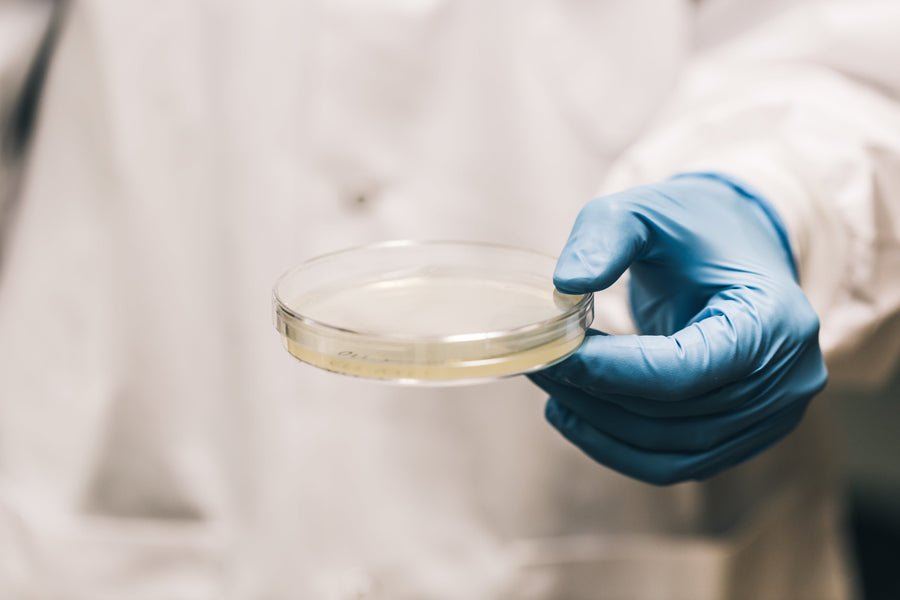 Science behind seborrheic dermatitis — Epic Derma